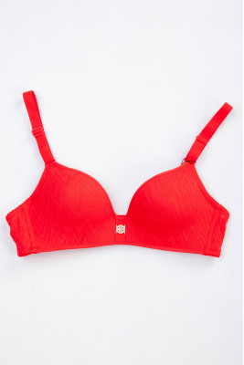 Бюстгальтер 